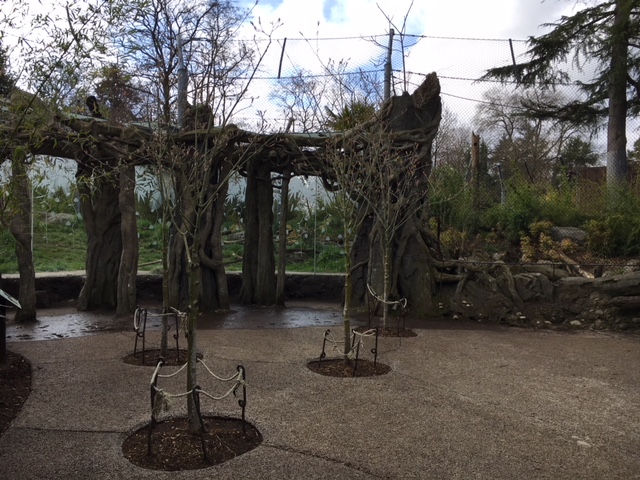 Malayan Tiger Exhibit