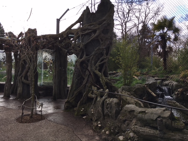 Malayan Tiger Exhibit