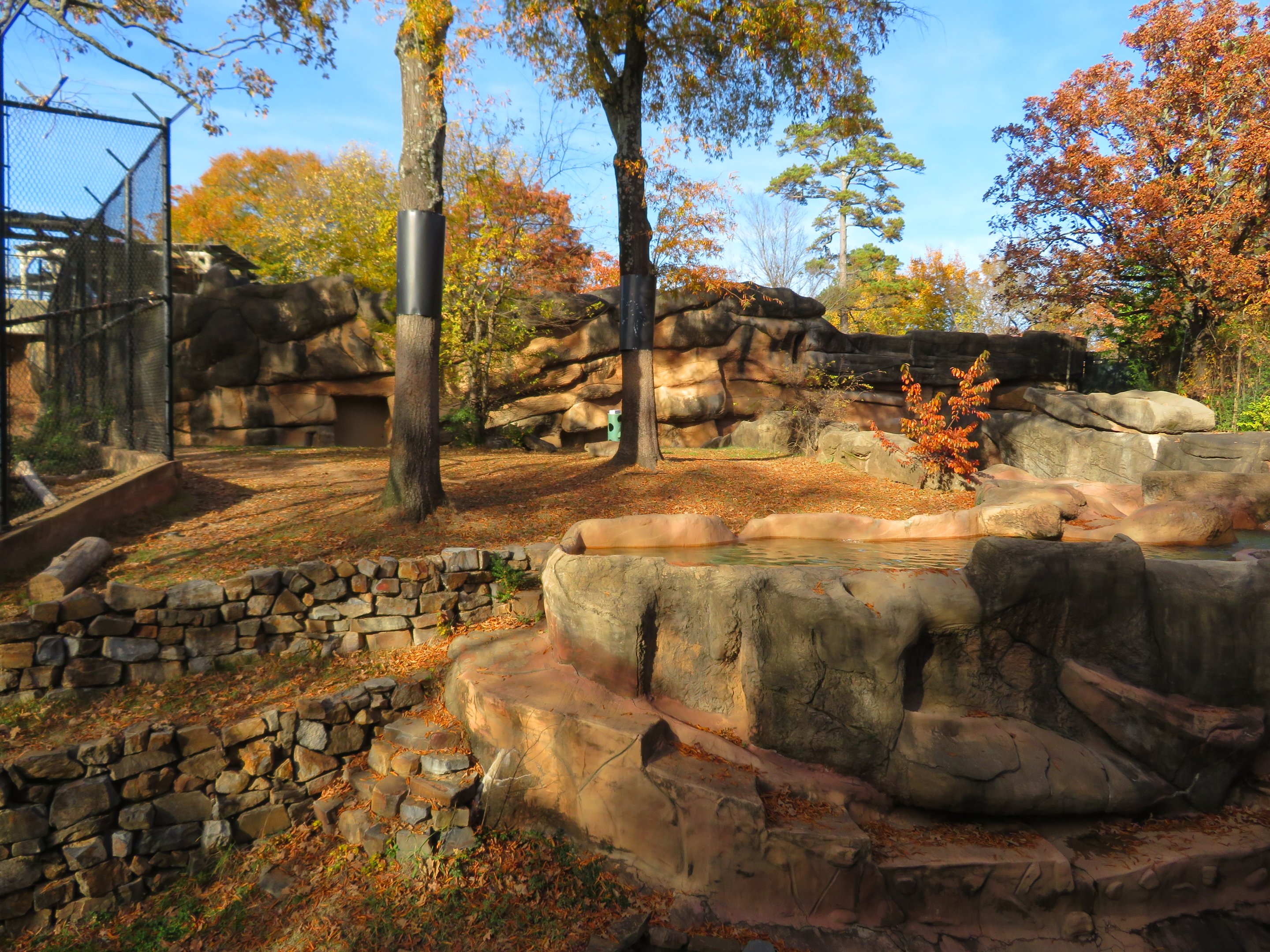 Malayan Tiger Exhibit