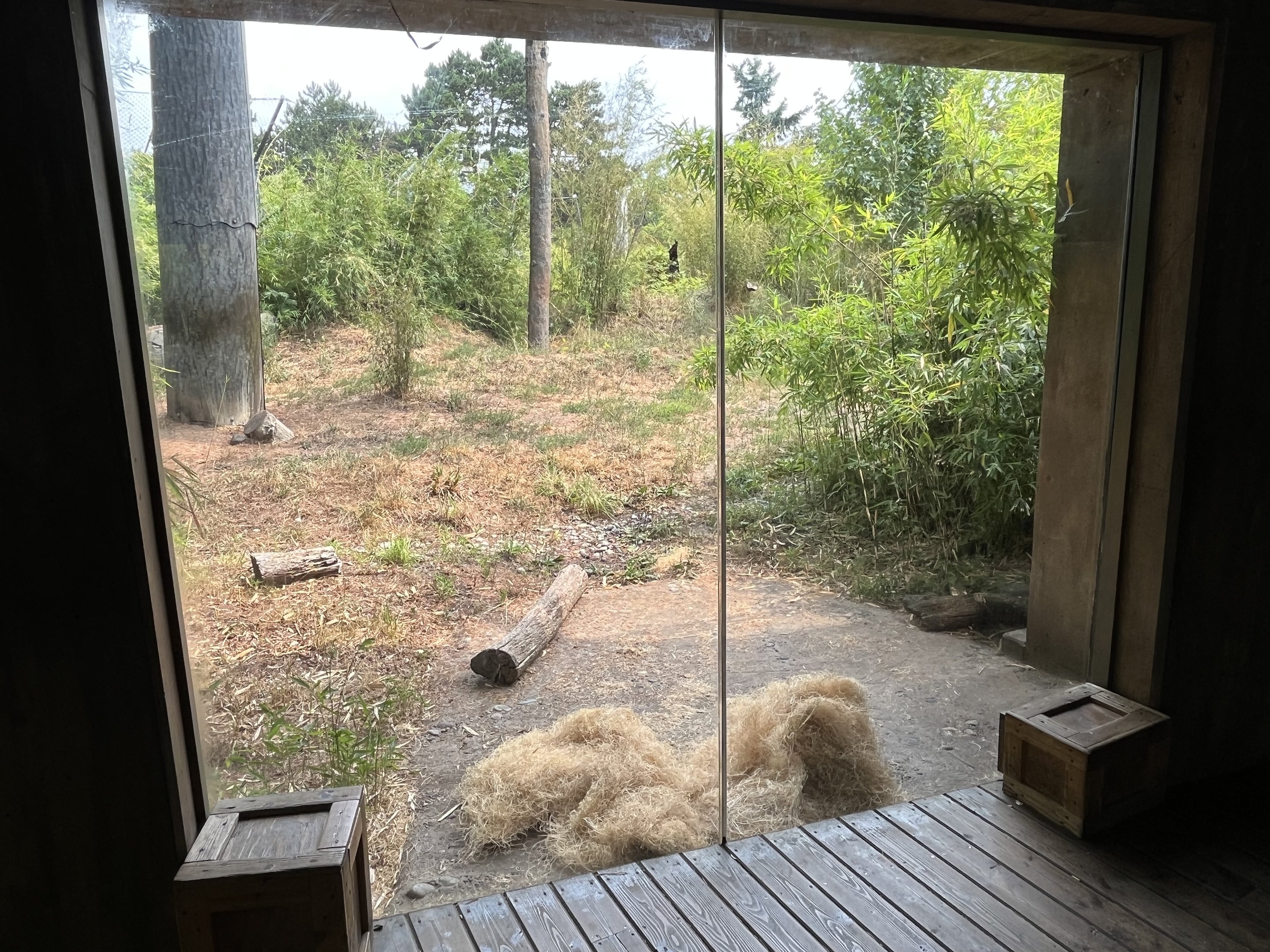 Malayan Tiger Exhibit