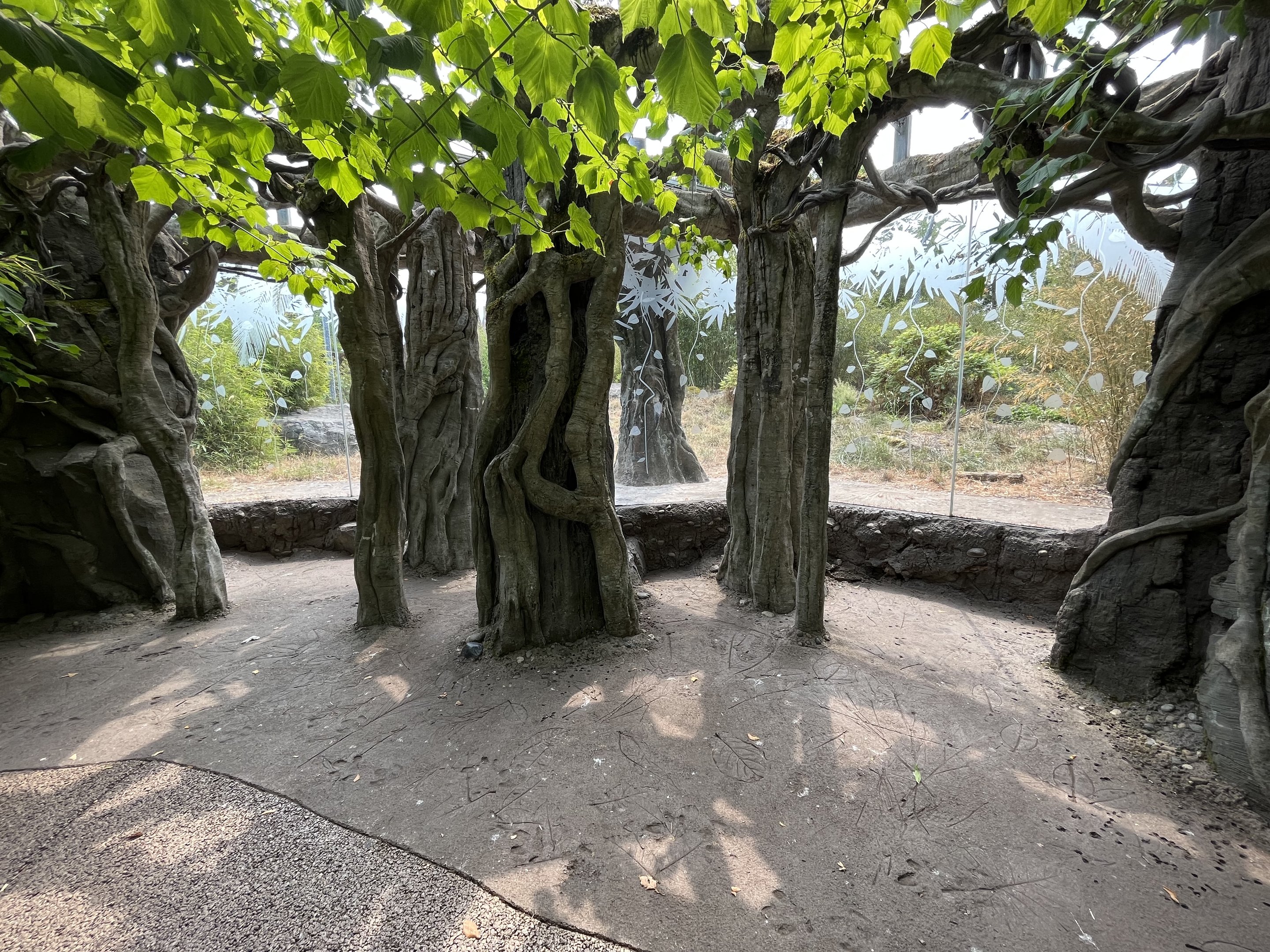 Malayan Tiger Exhibit