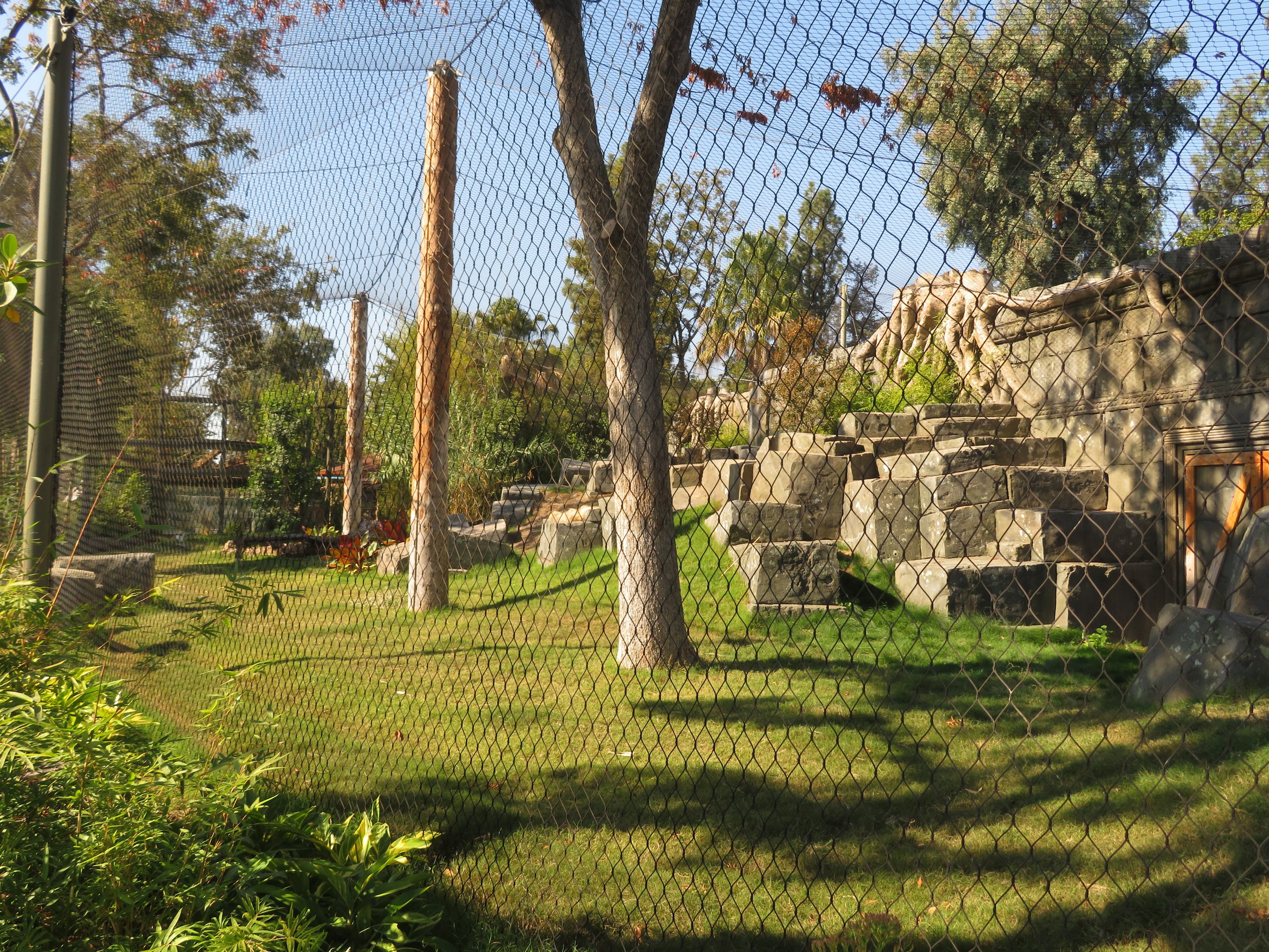 Malayan Tiger Exhibit
