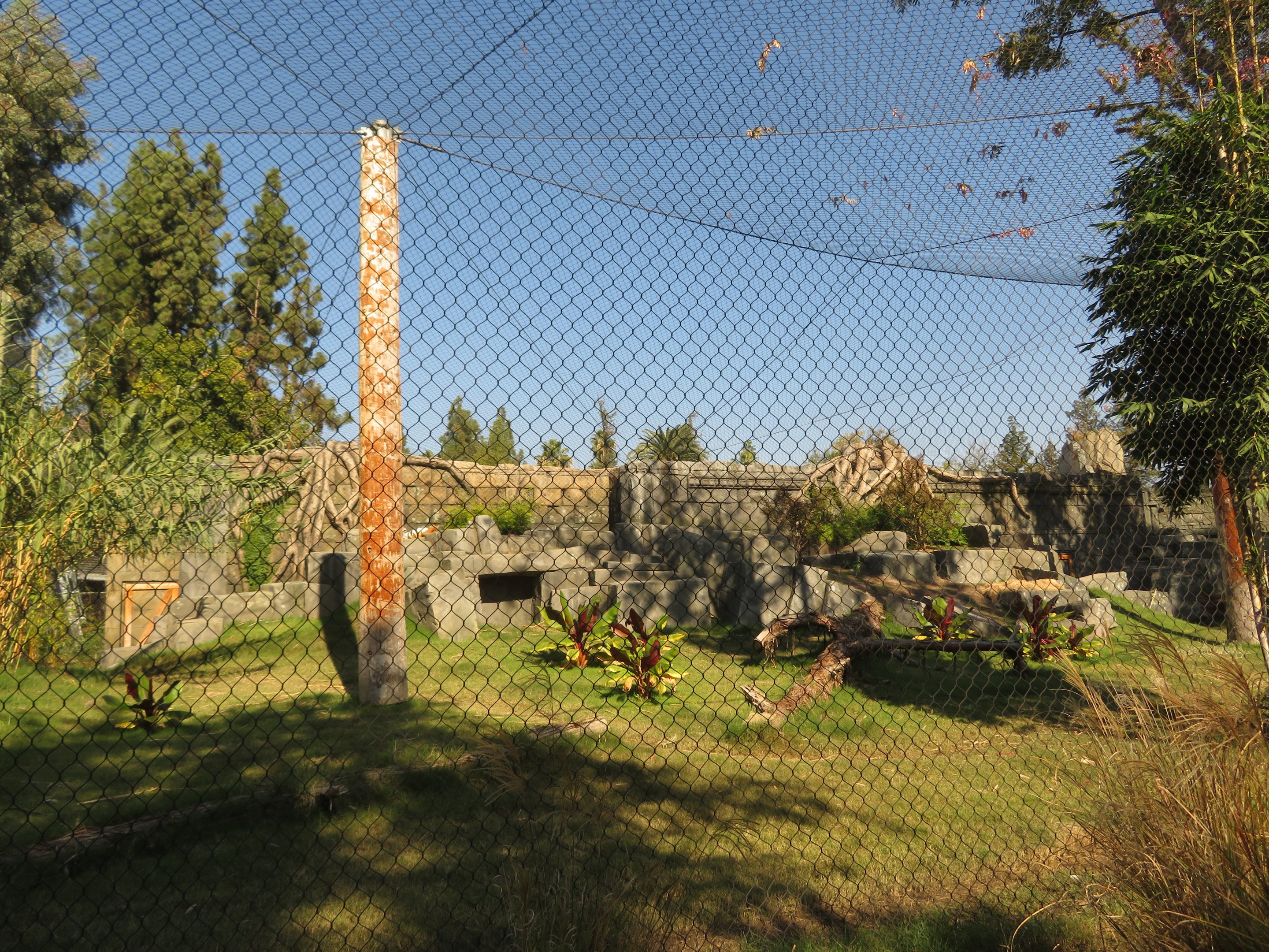 Malayan Tiger Exhibit
