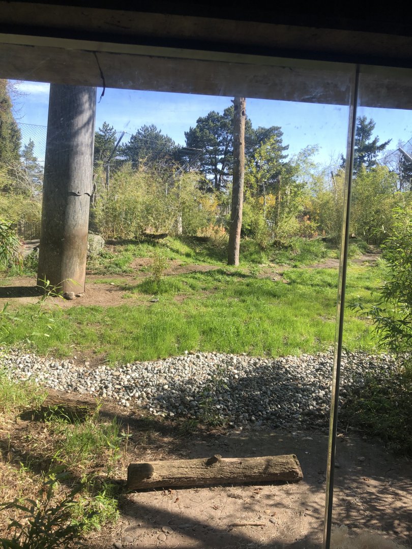 Malayan Tiger Exhibit
