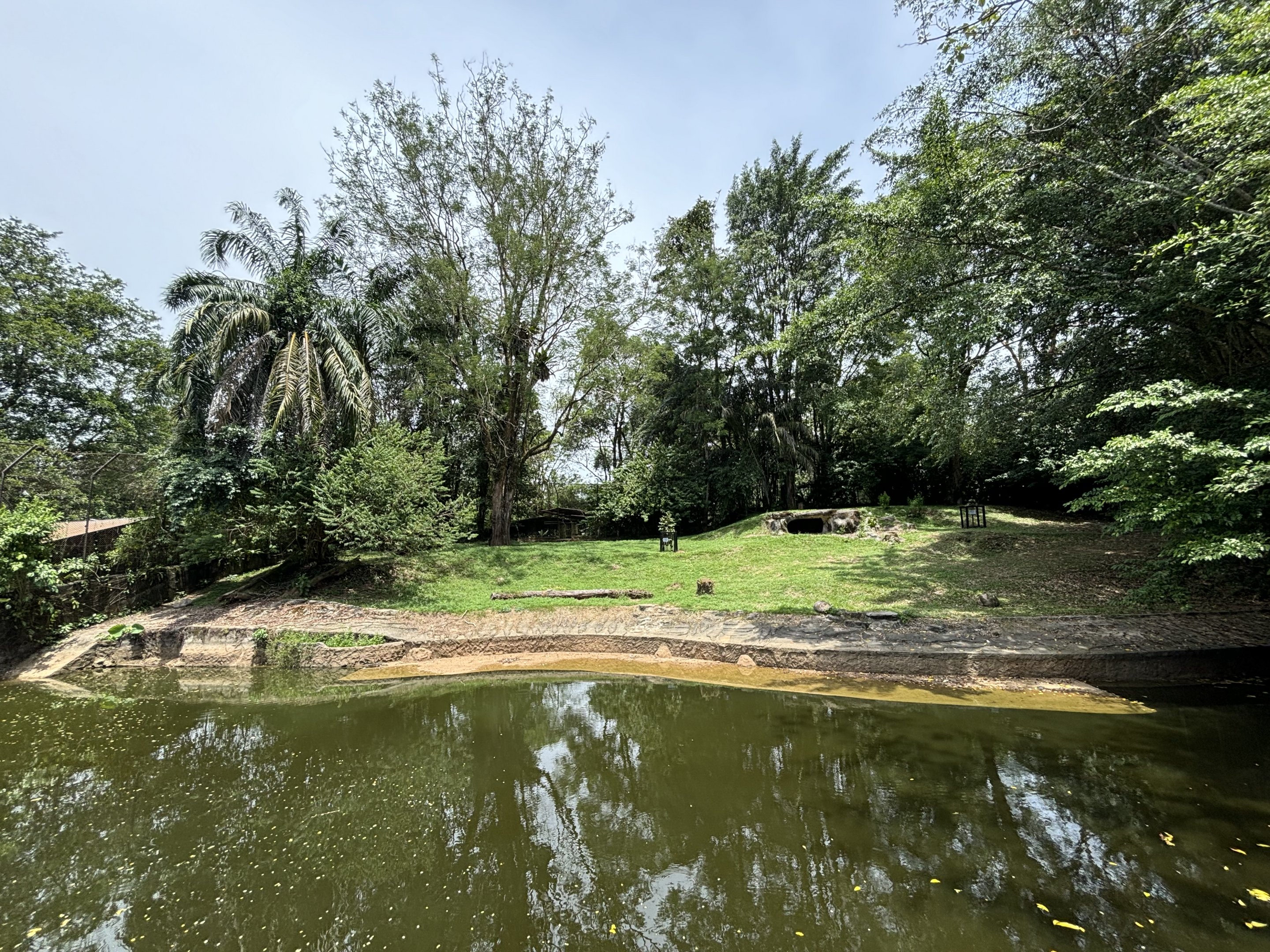 Malayan Tiger Exhibit