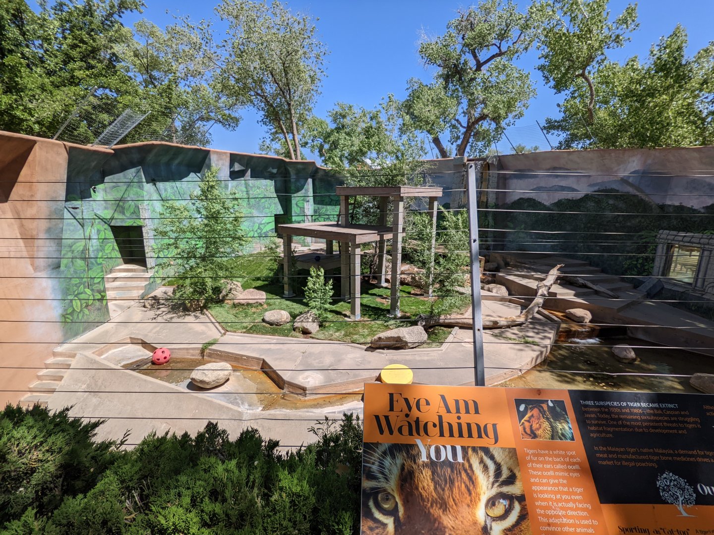 Malayan tiger habitat