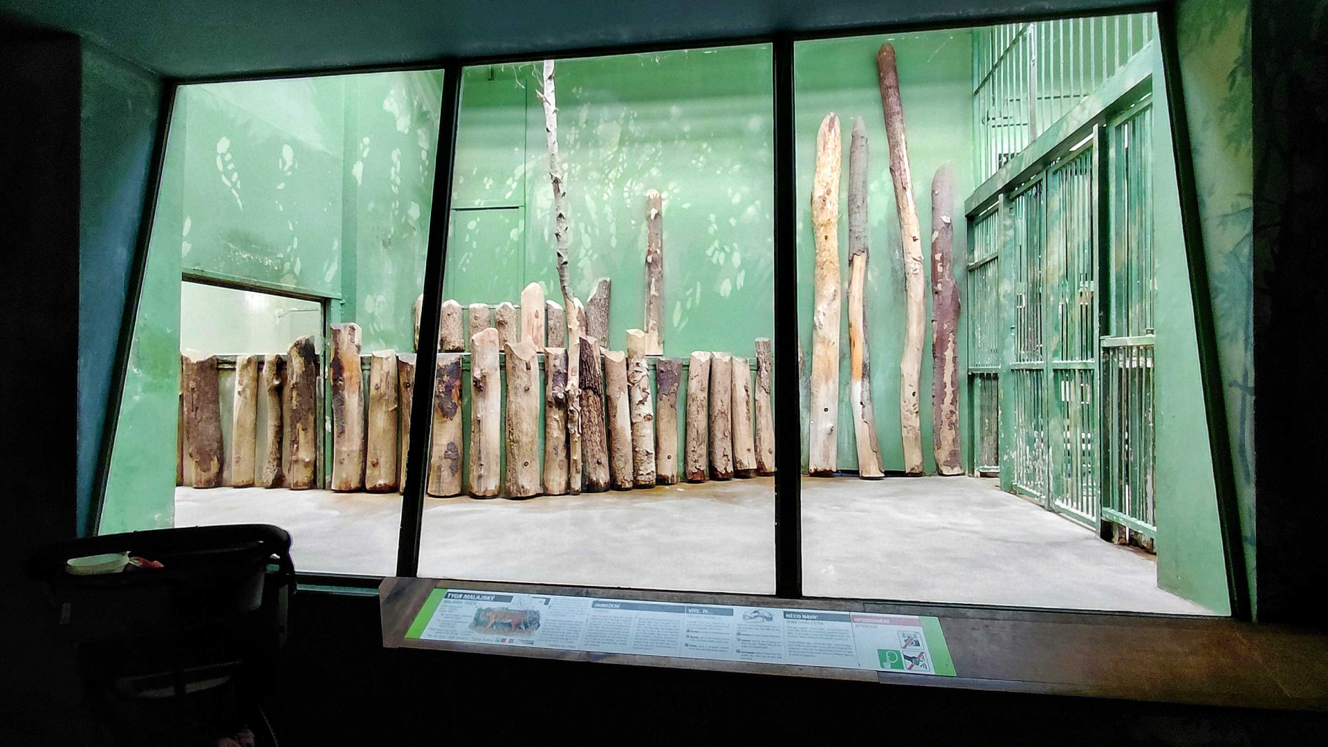 Malayan tiger indoor exhibit