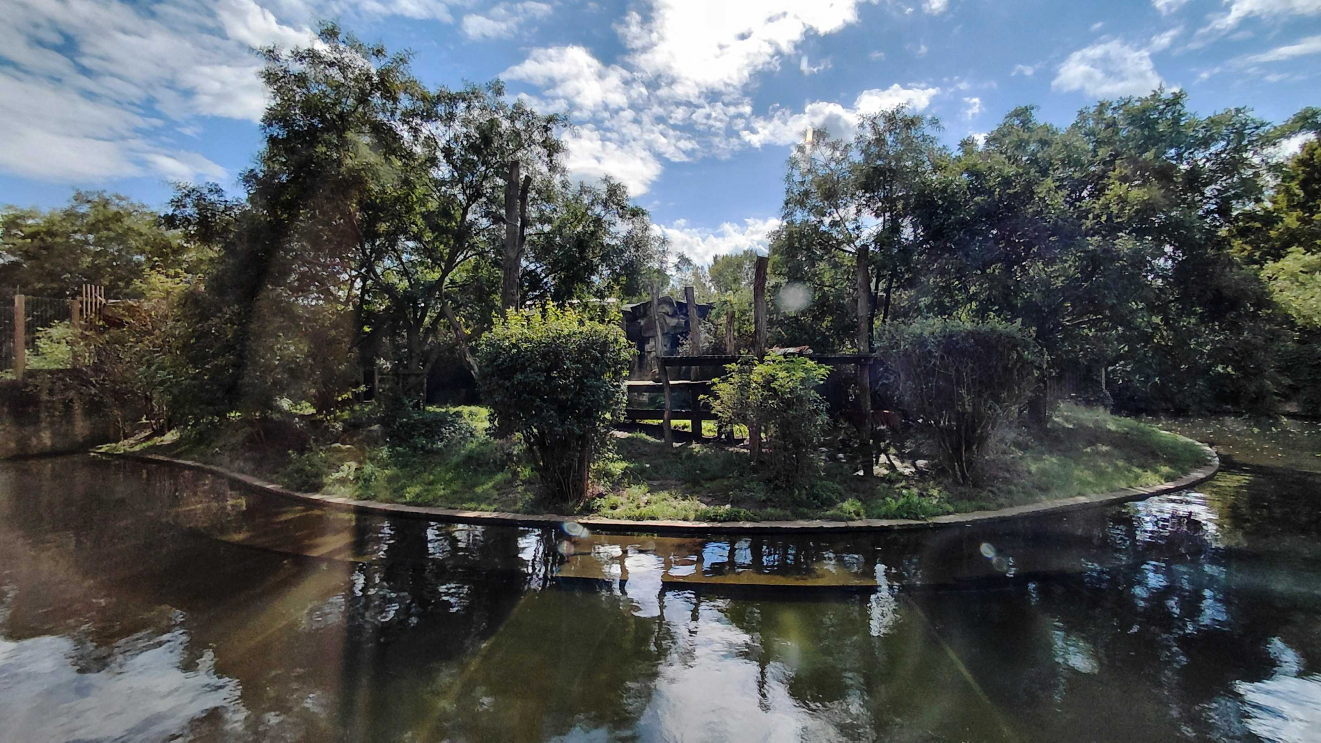 Malayan tiger outdoor exhibit