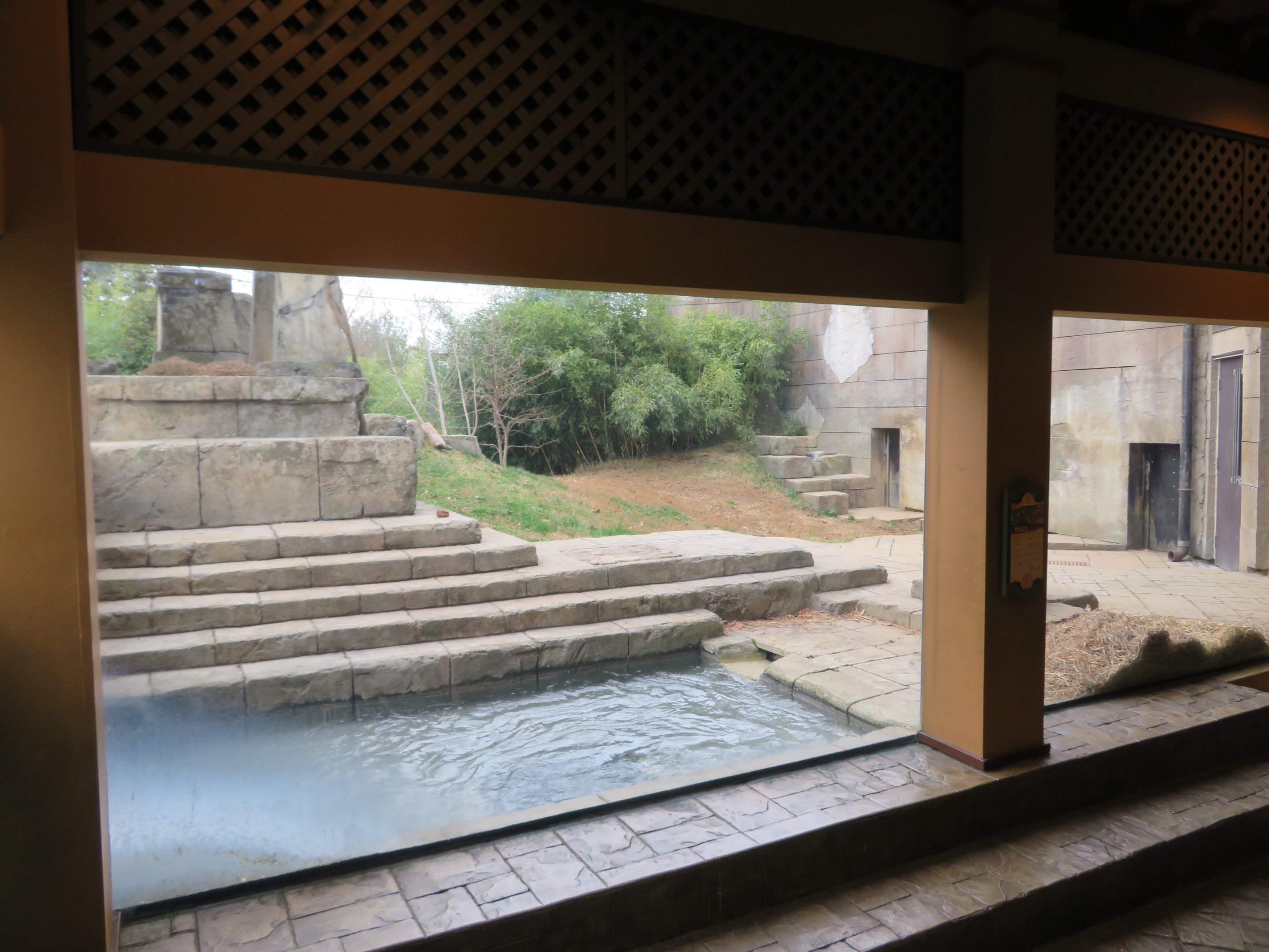 Malayan Tiger Viewing Window