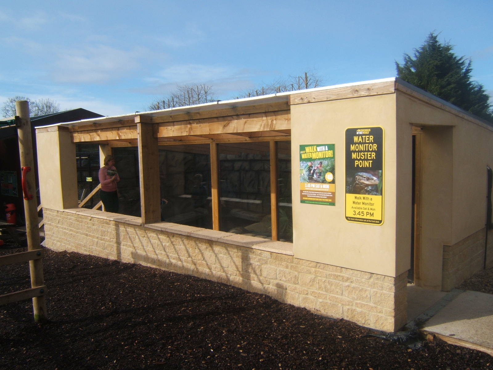 Malayan Water Monitor exhibit