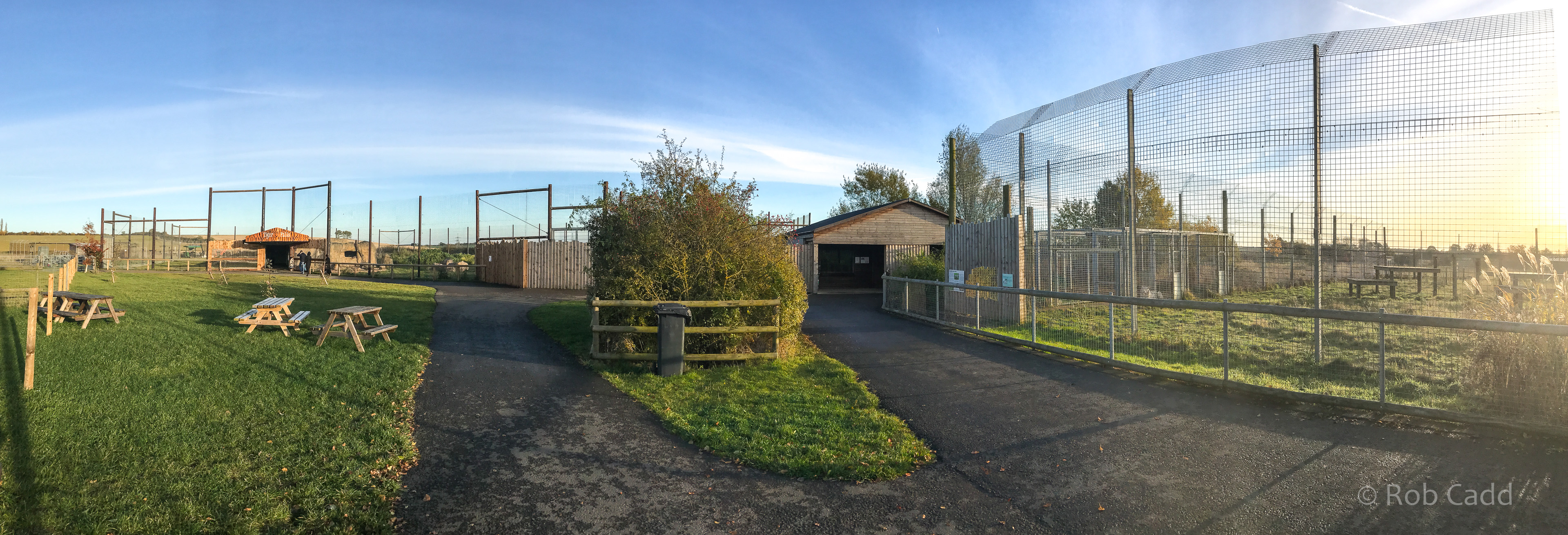 Malayan / white tigers (exhibits) : Hamerton : 13 Nov 2016