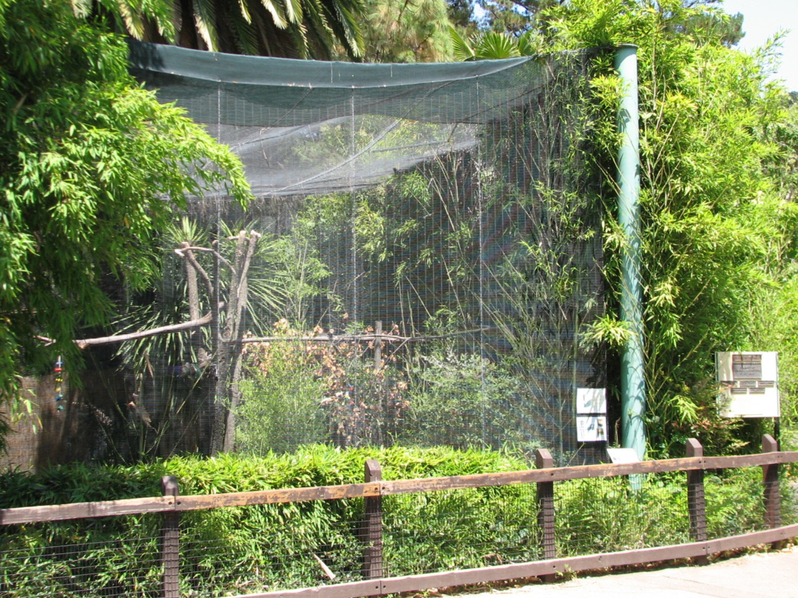 Malayan Wreathed Hornbill Exhibit