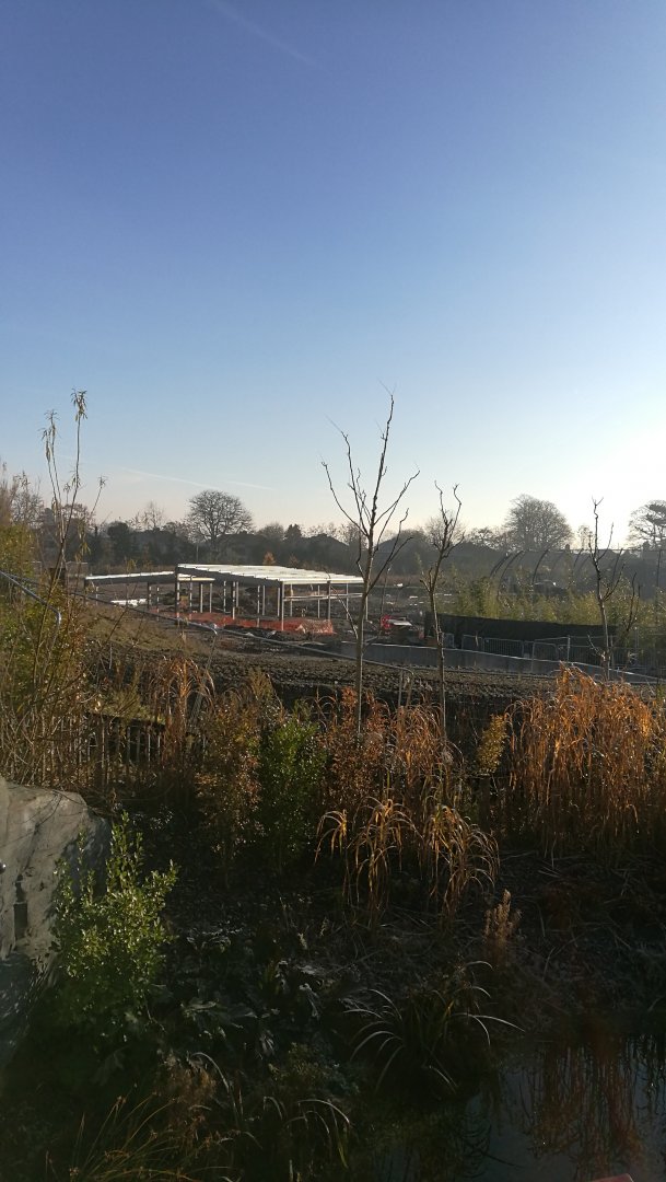 Malayen Tapir house under construction