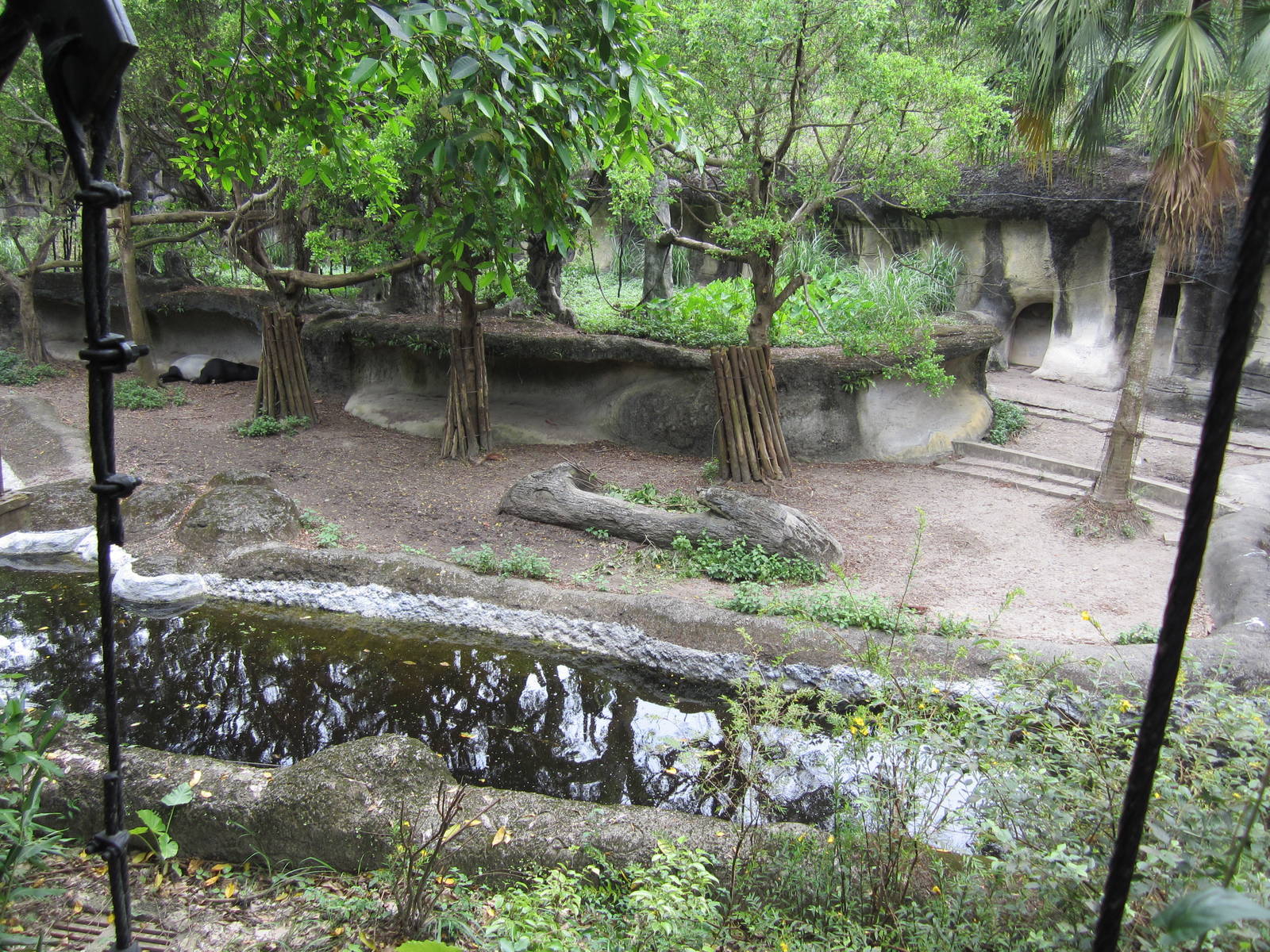 Malayn tapir/Lar gibbon exhibit