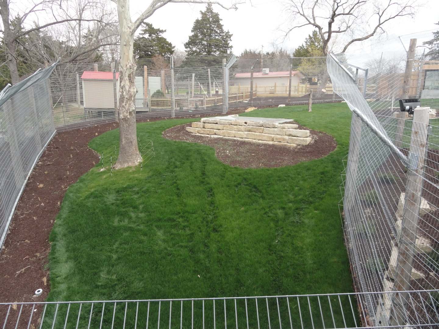 Malayn Tiger Exhibit