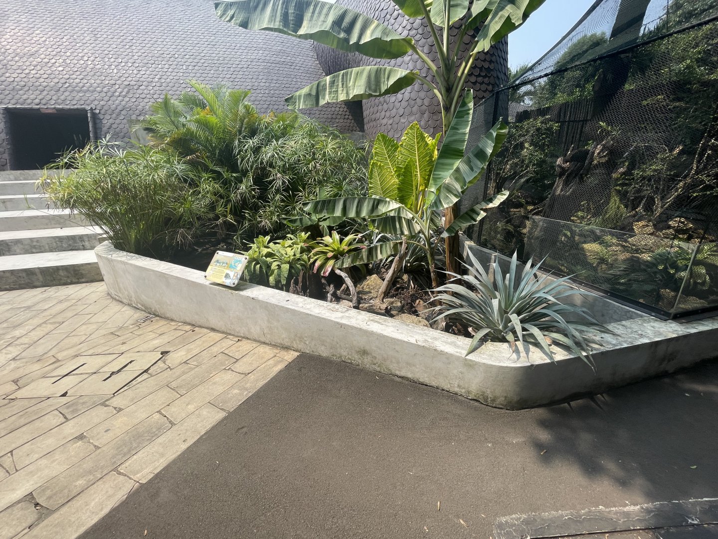 malaysian giant turtle exhibit - museum komodo