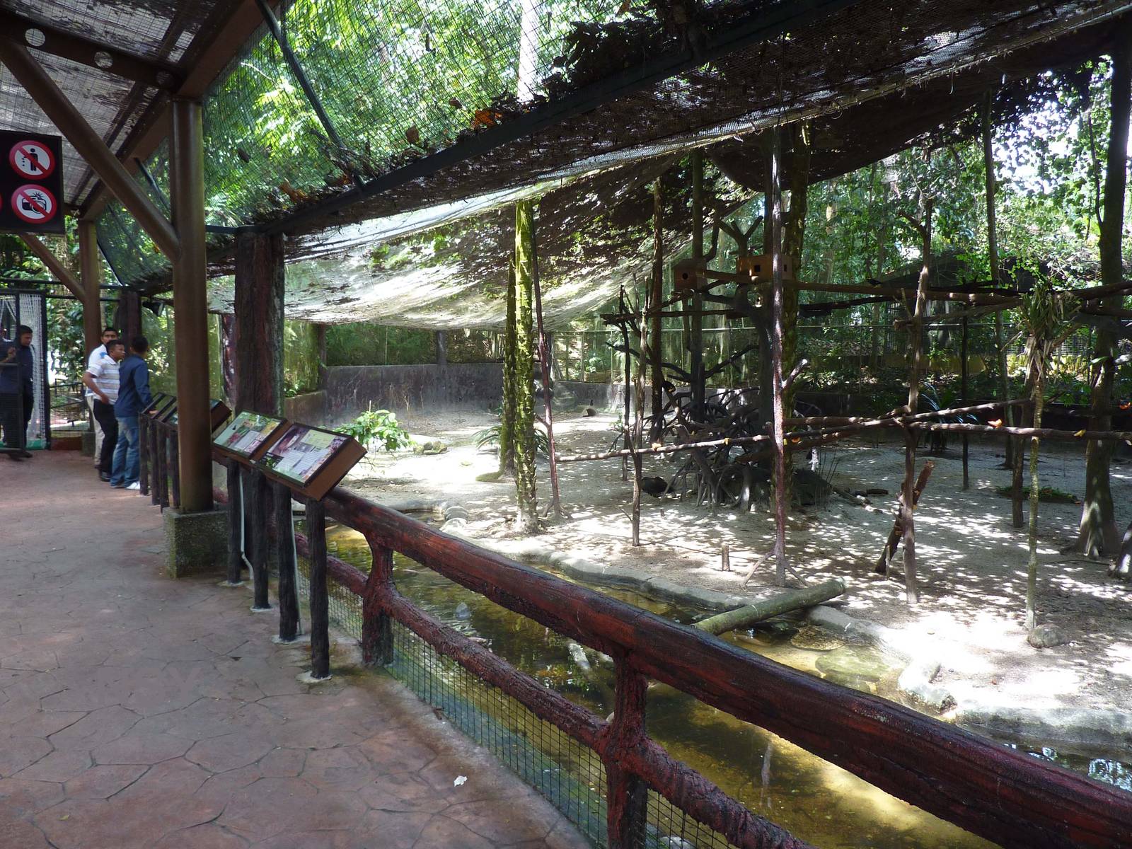 Malaysian lowland rainforest, May 2013