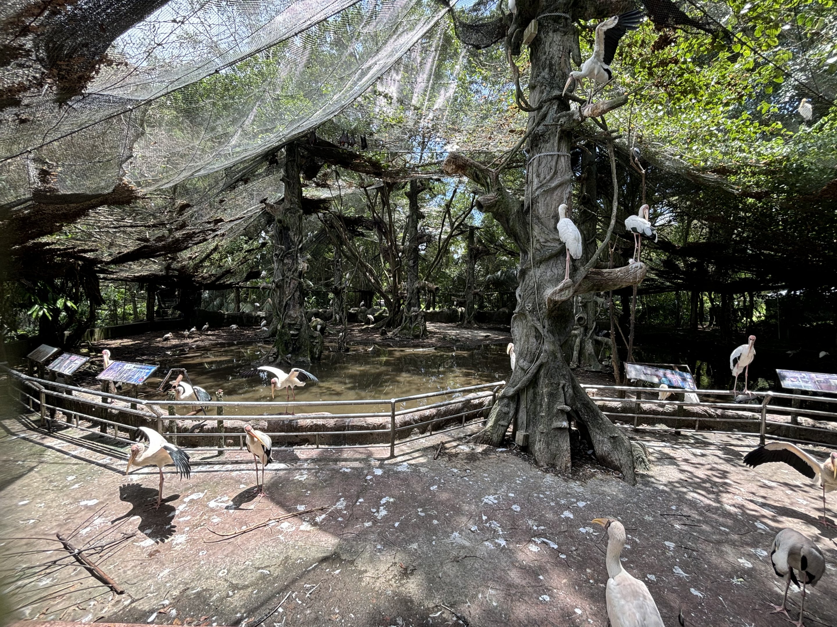 Malaysian Riverine Forest Aviary