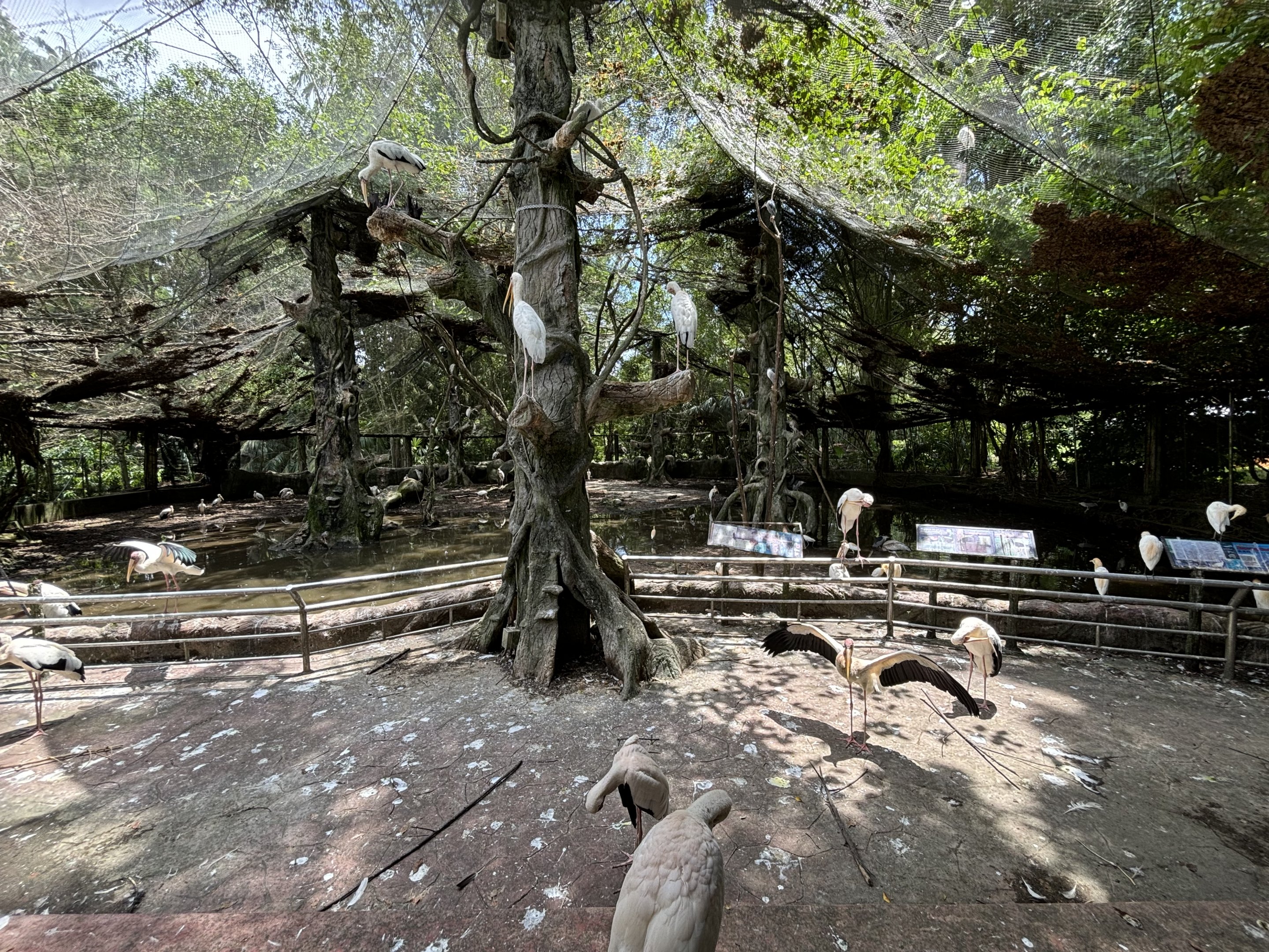 Malaysian Riverine Forest Aviary