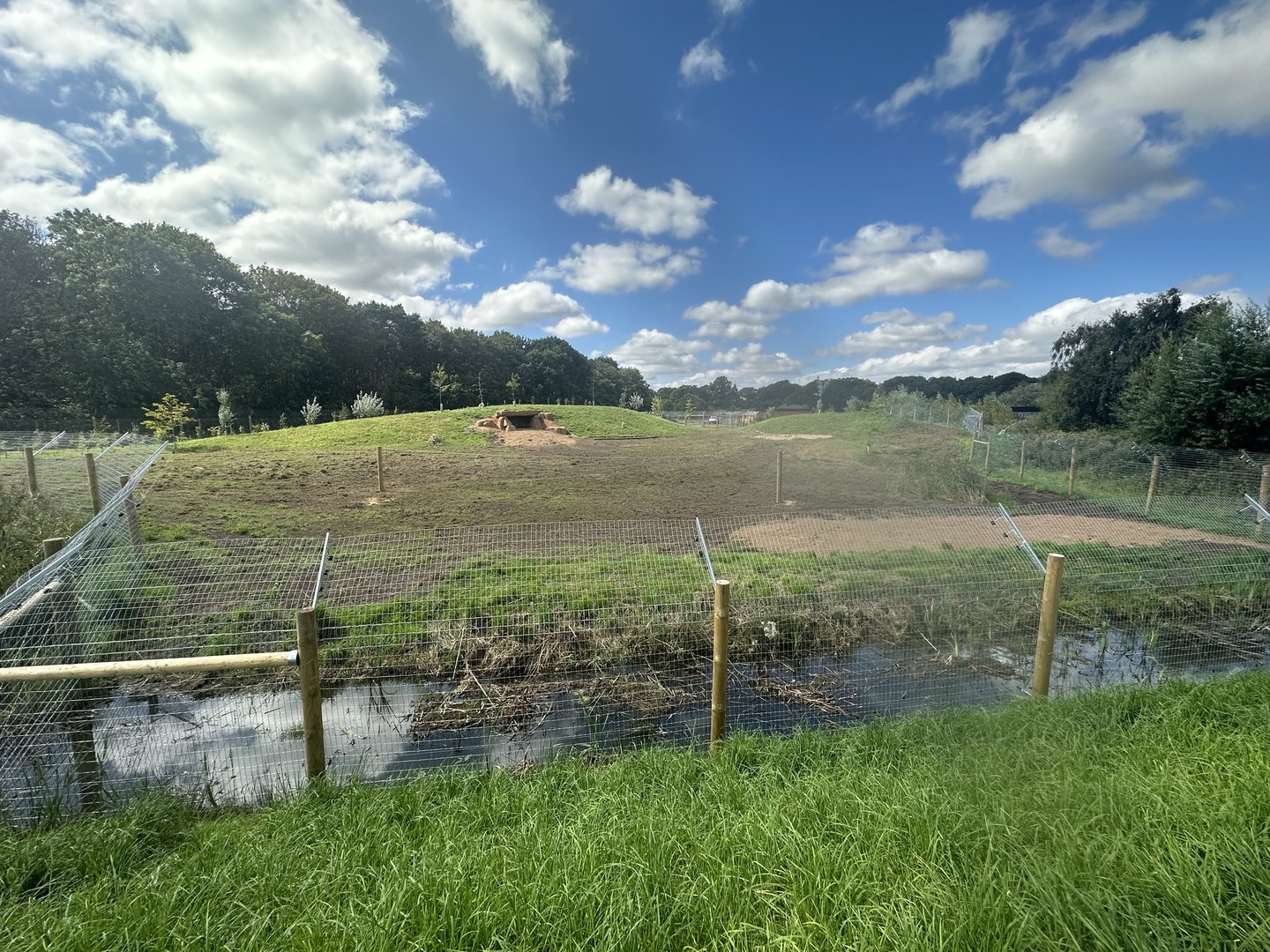 Male Cheetah enclosure