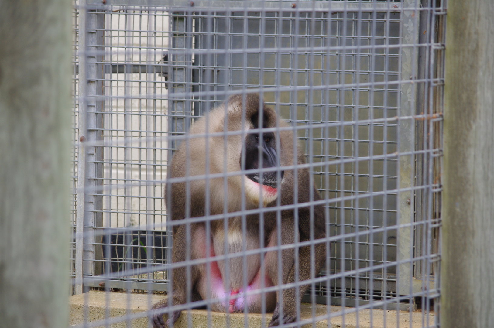 Male Drill- 1/10/2023