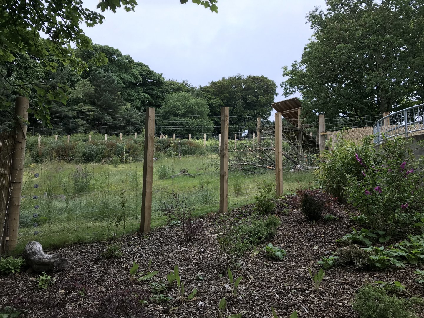 Male giant panda enclosure