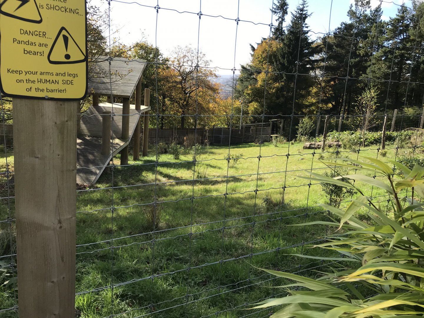 Male giant panda enclosure