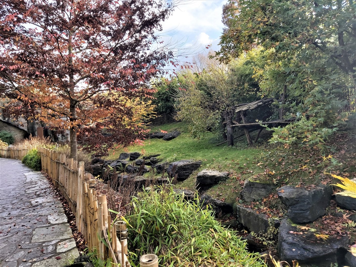 Male giant panda enclosure