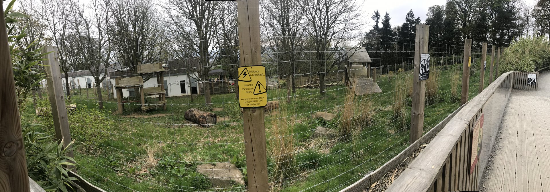 Male giant panda enclosure