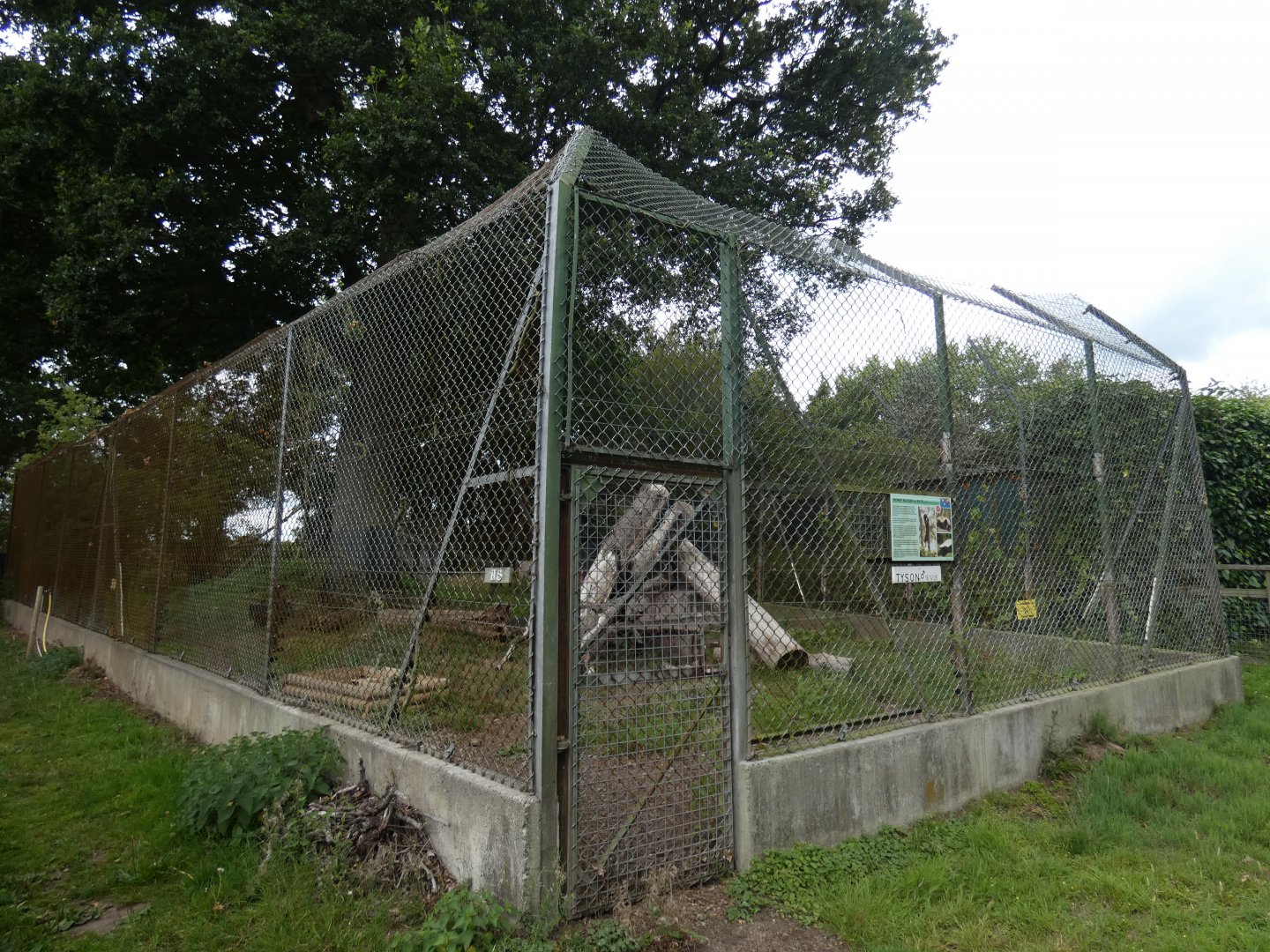 Male Honey Badger enclosure
