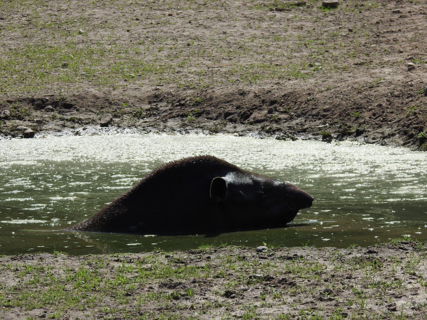 Male Irek during taking bath