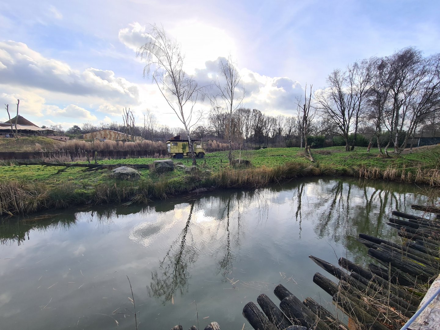 Male lion separation enclosure