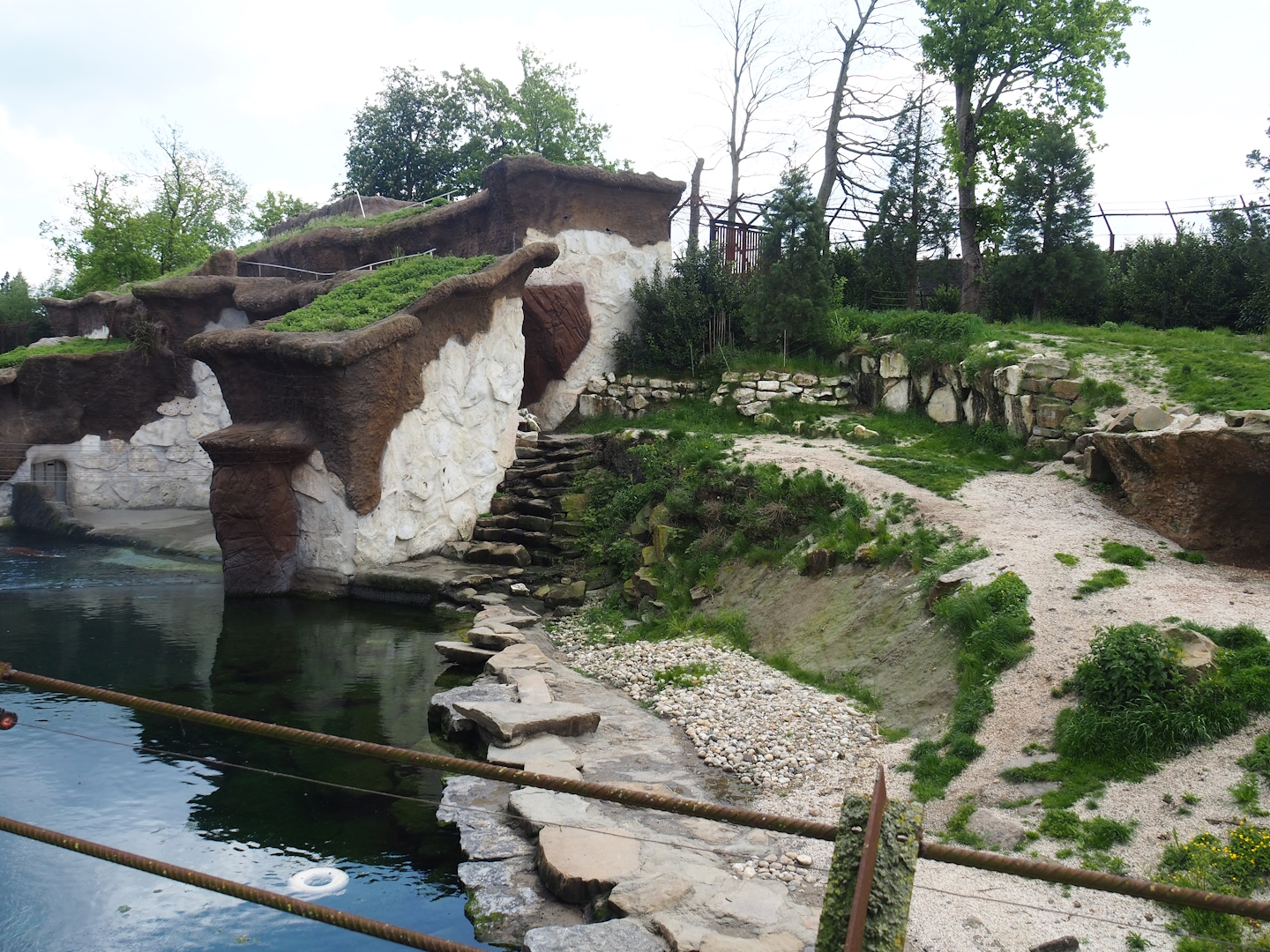 Male Polar bear exhibit, 2023-05-16