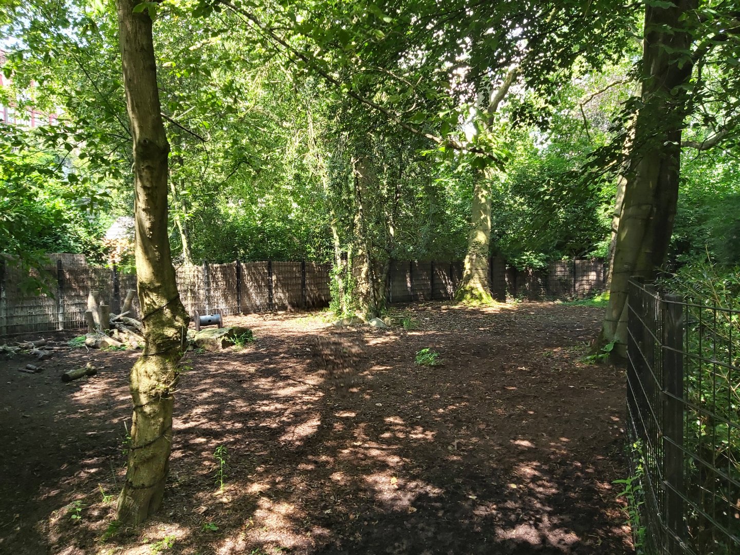 Male tapir enclosure
