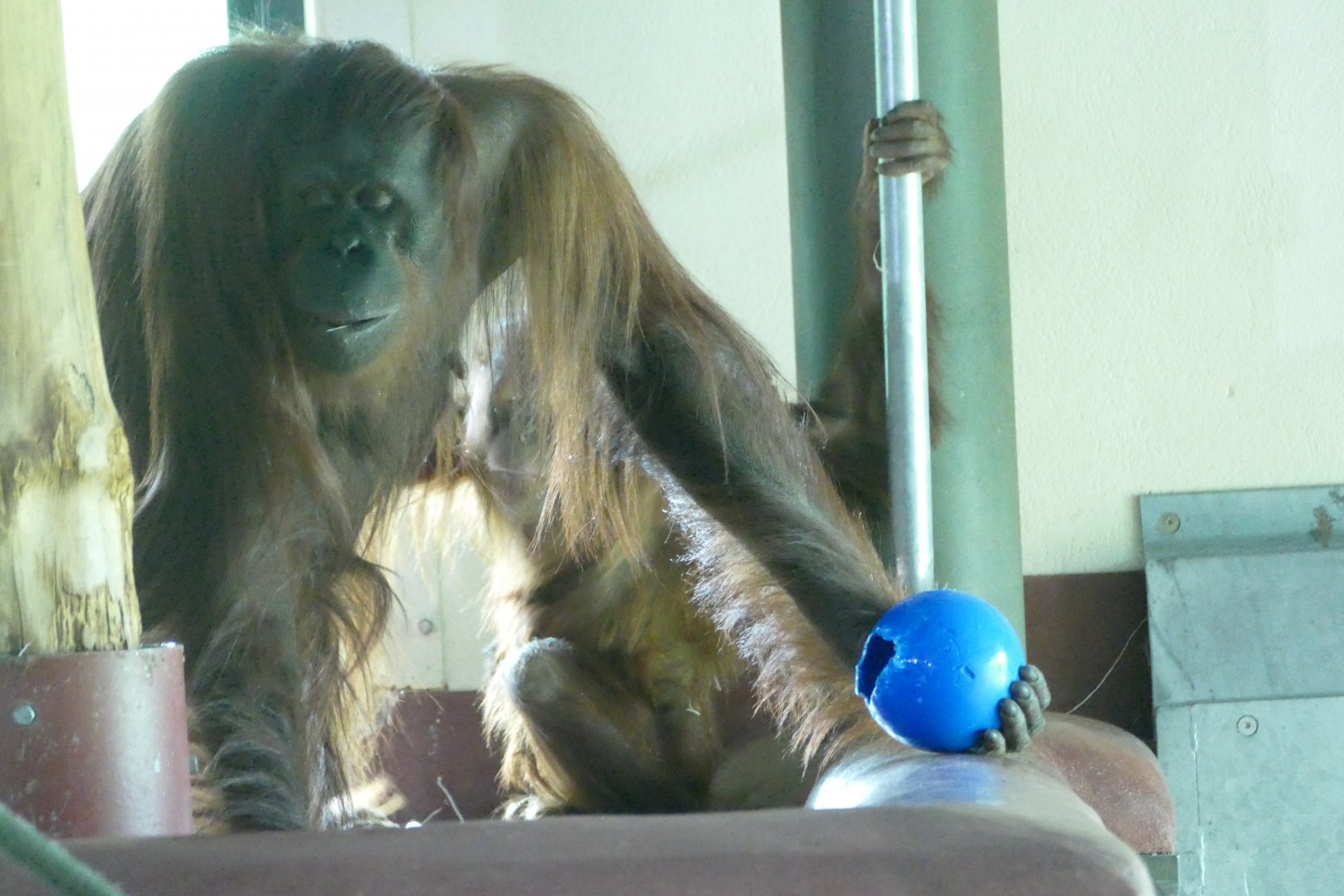 Mali 1  Kong Ball 0, June 2018