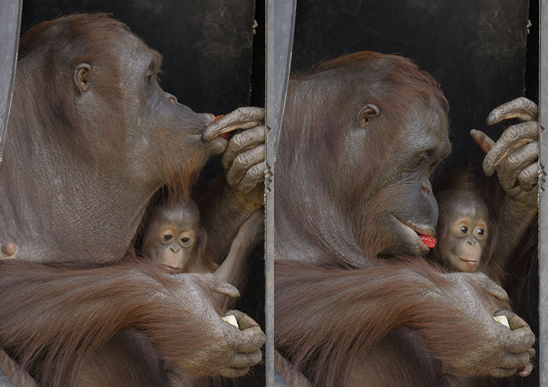 Mali and daughter doubled