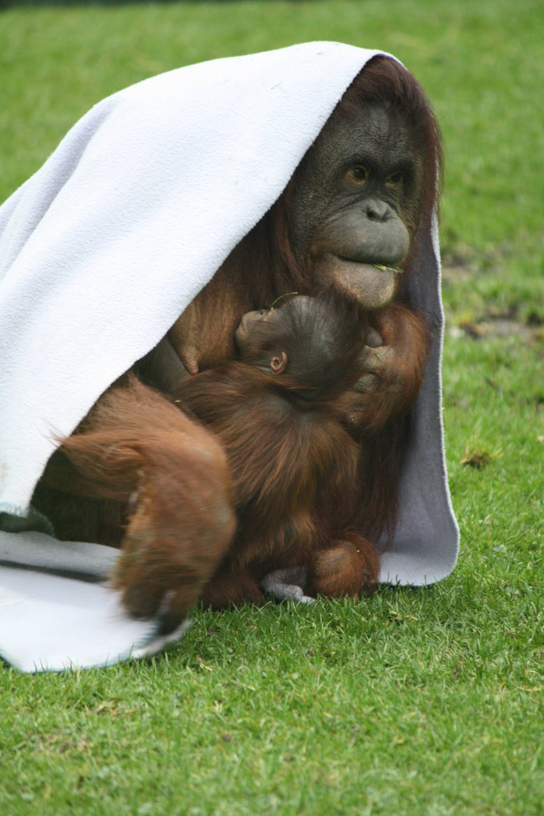 Maliku and Molly - 20 Feb 2010