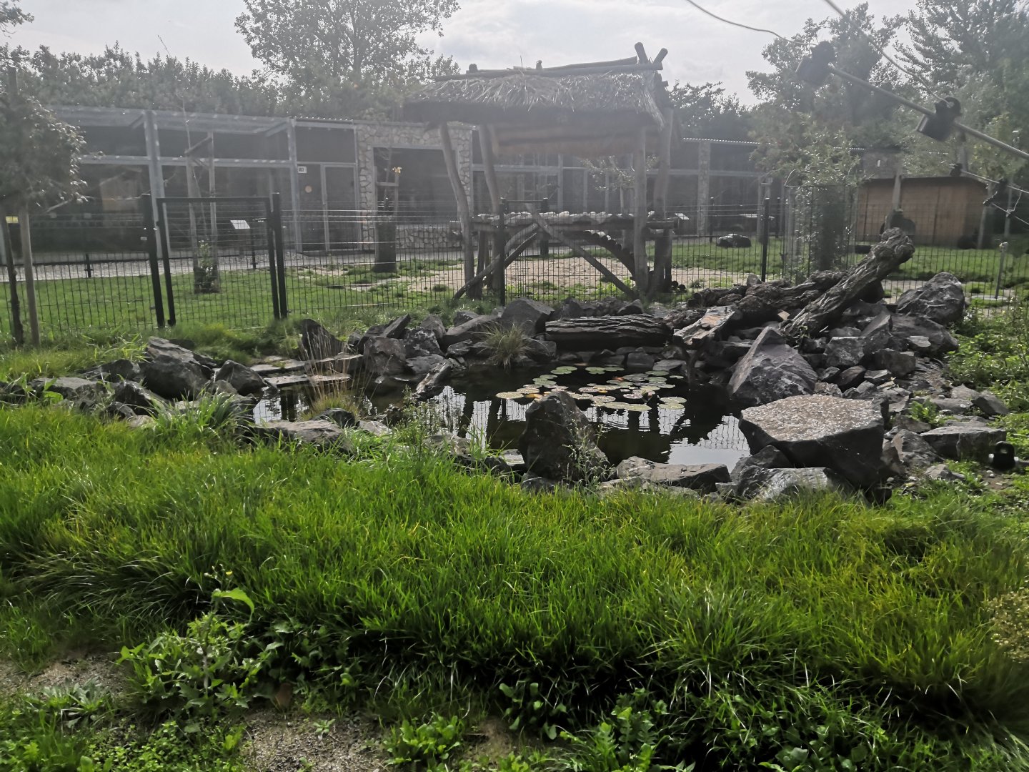 MALKIA PARK - Snapping turtle, whole the enclosure