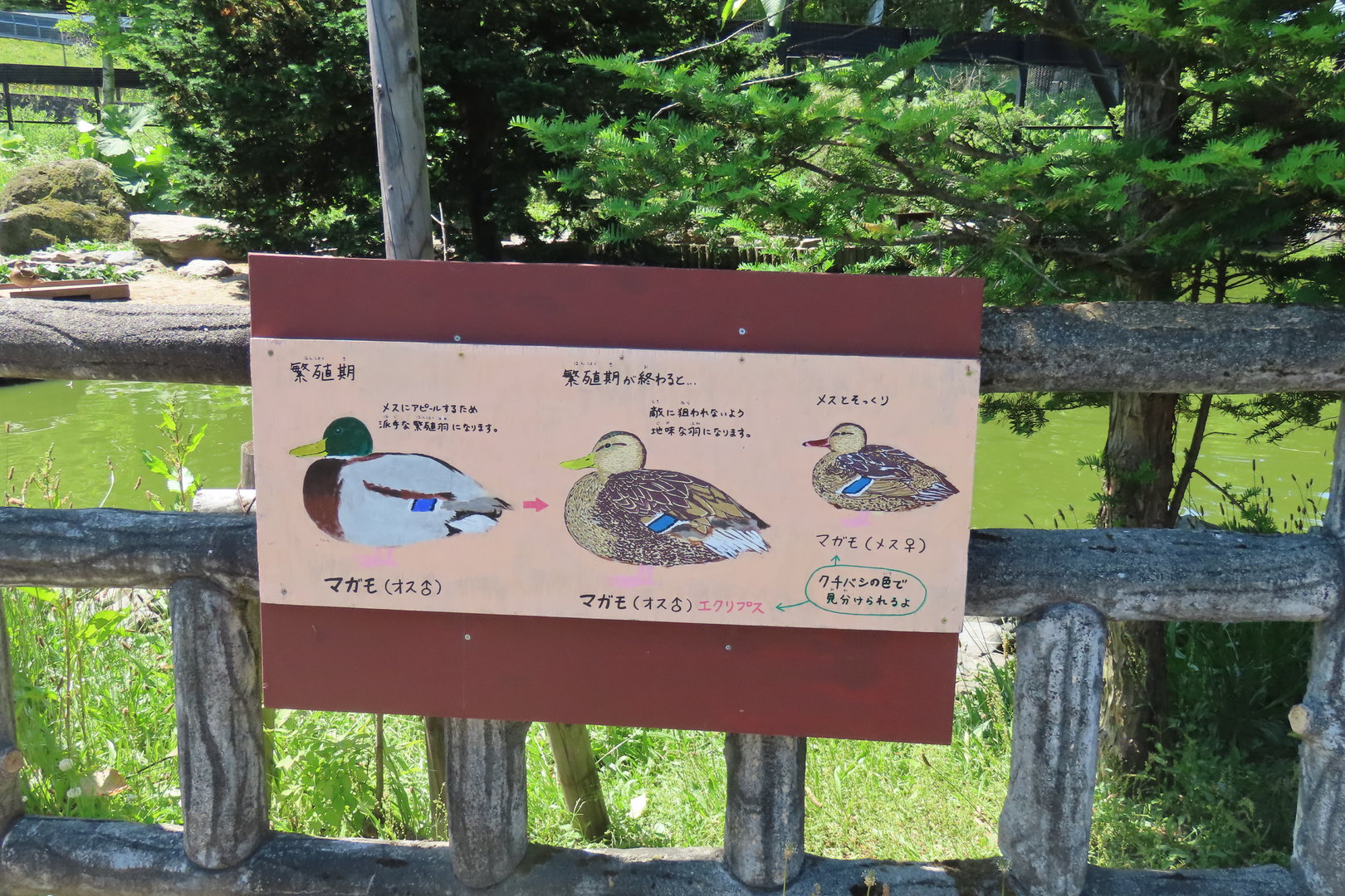 Mallard signage