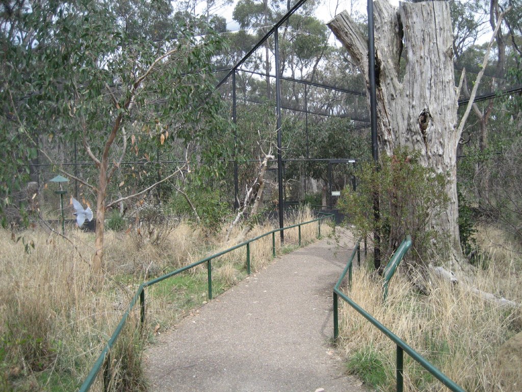 Mallee Aviary interior