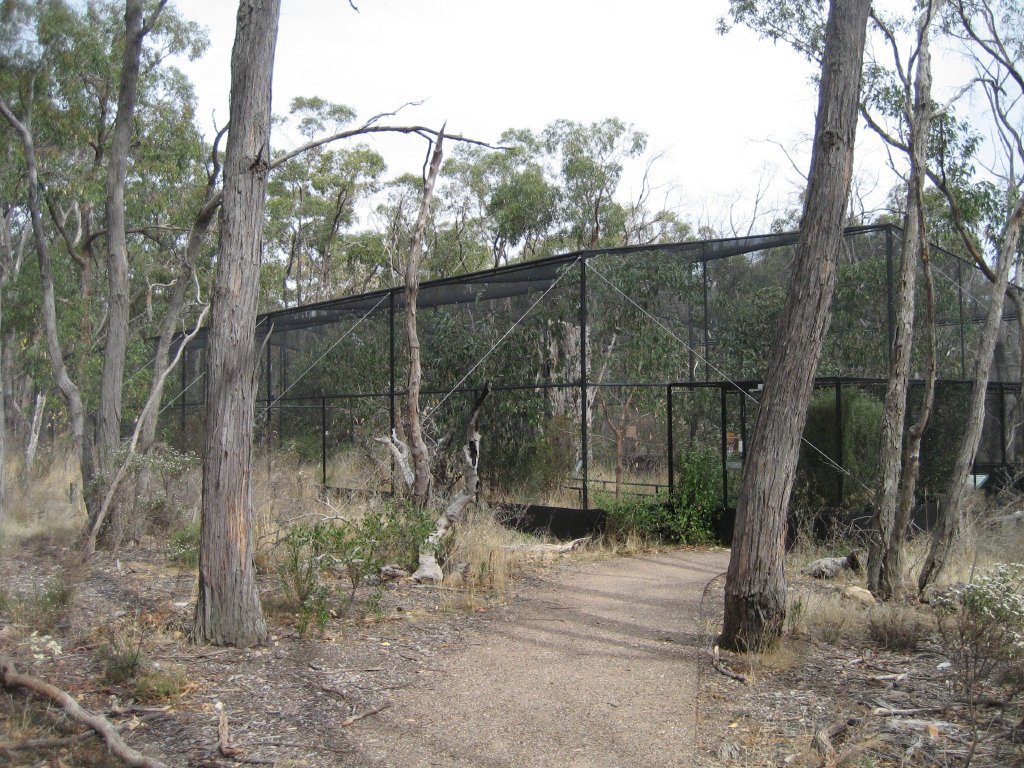 Mallee Aviary