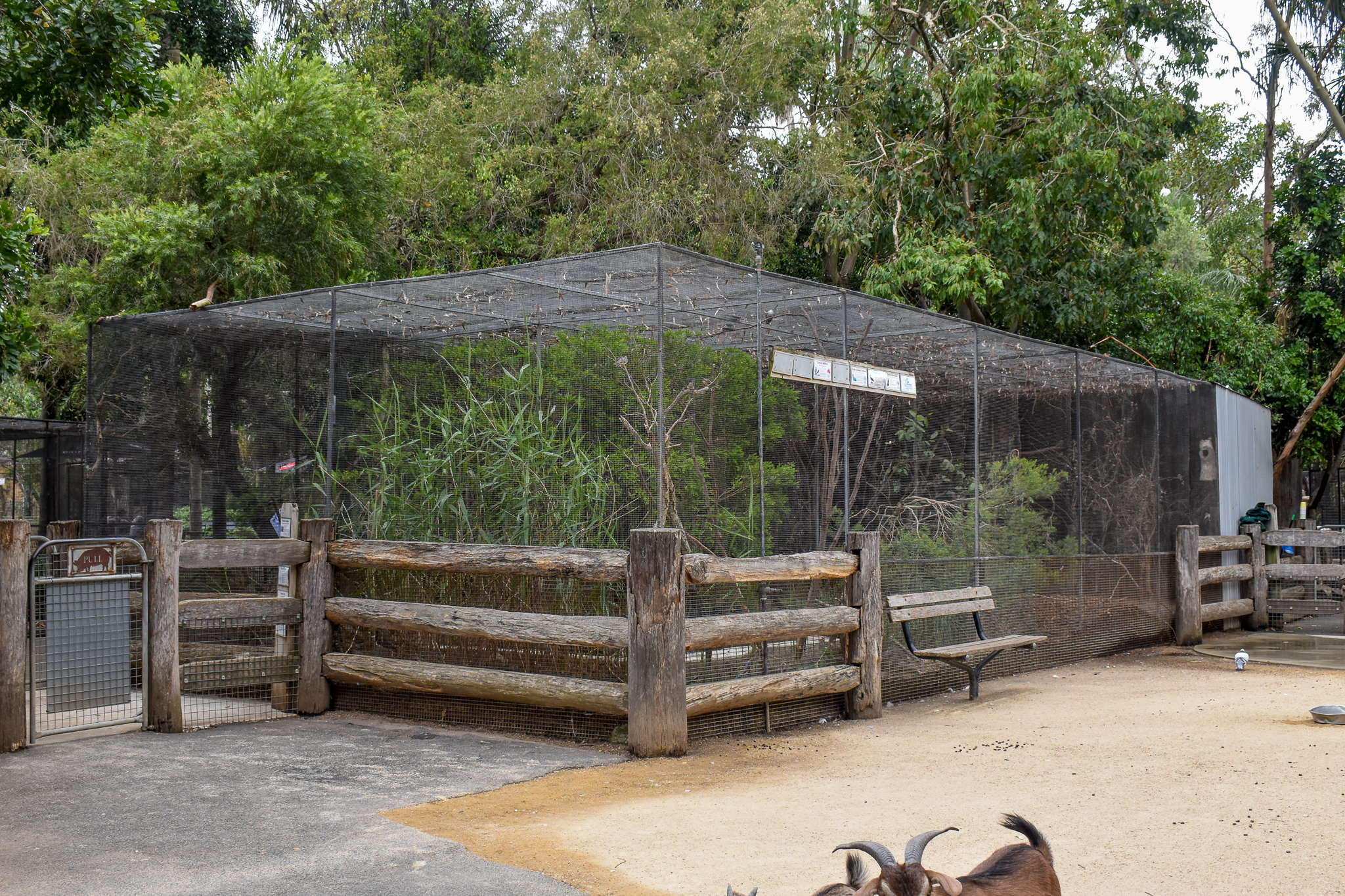 Mallee Aviary