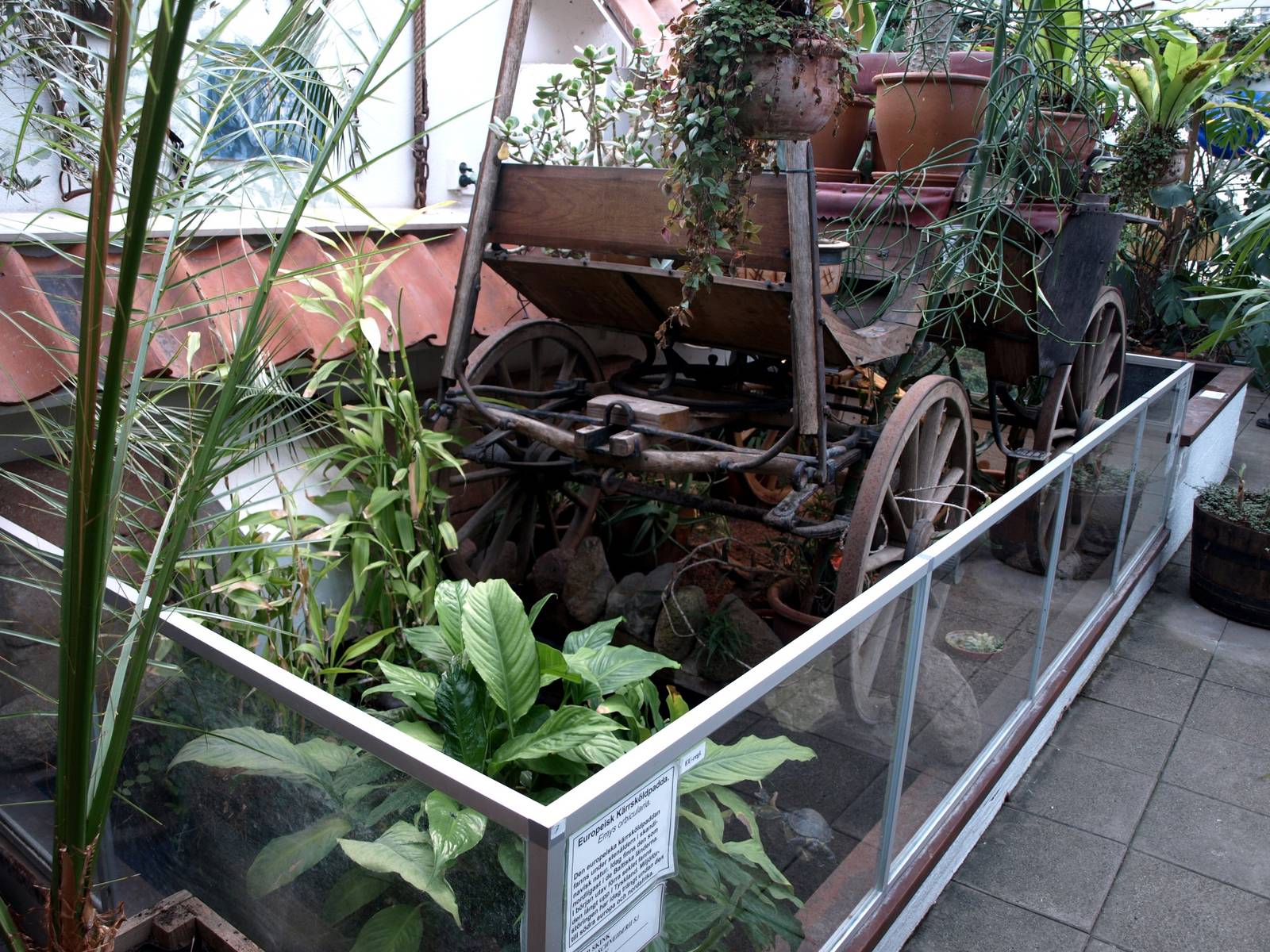 Malmoe Reptile Center - Desert exhibit