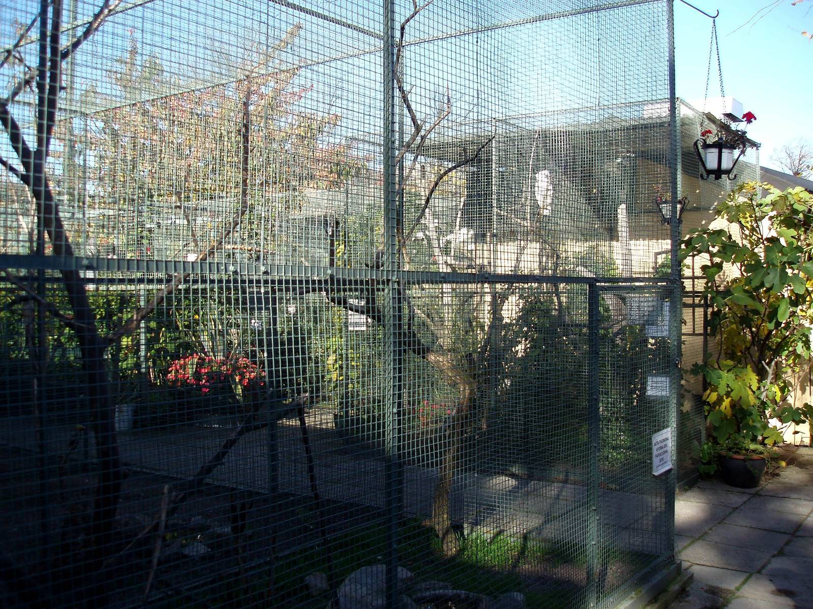 Malmoe Reptile Center - Garden