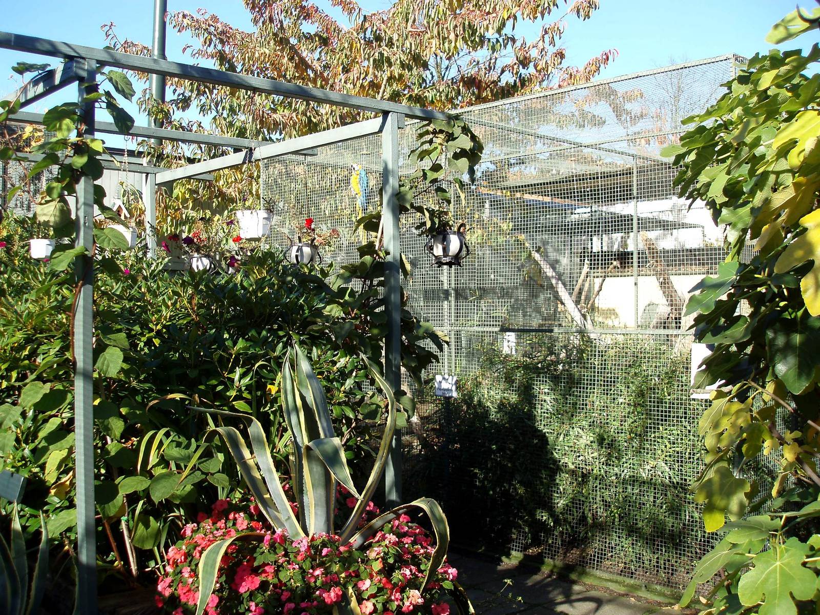 Malmoe Reptile Center - Garden