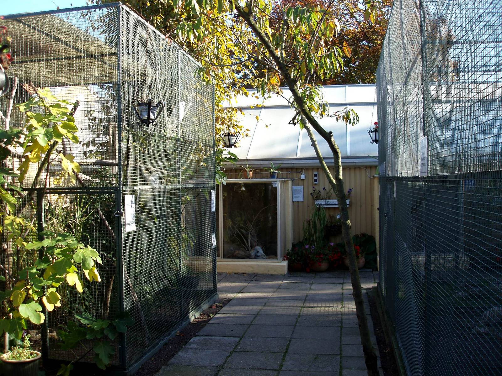 Malmoe Reptile Center - Garden