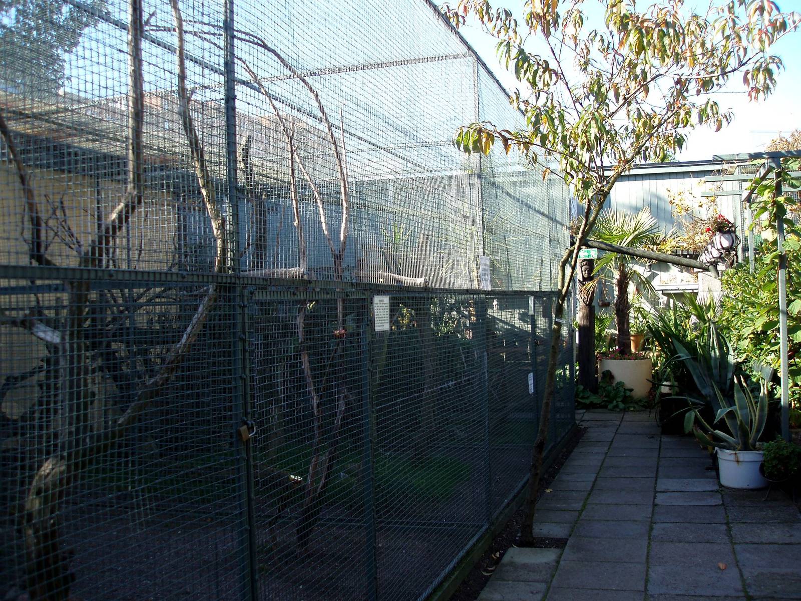 Malmoe Reptile Center - Garden