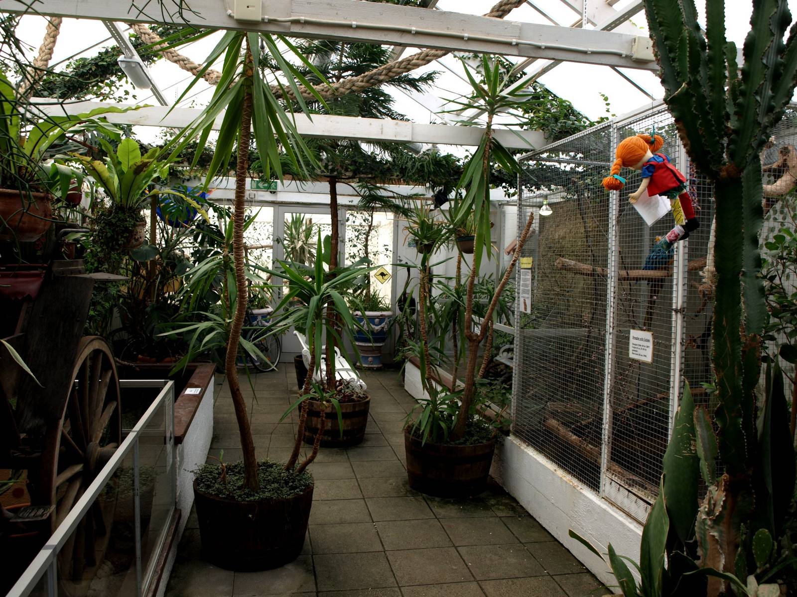 Malmoe Reptile Center - Greenhouse