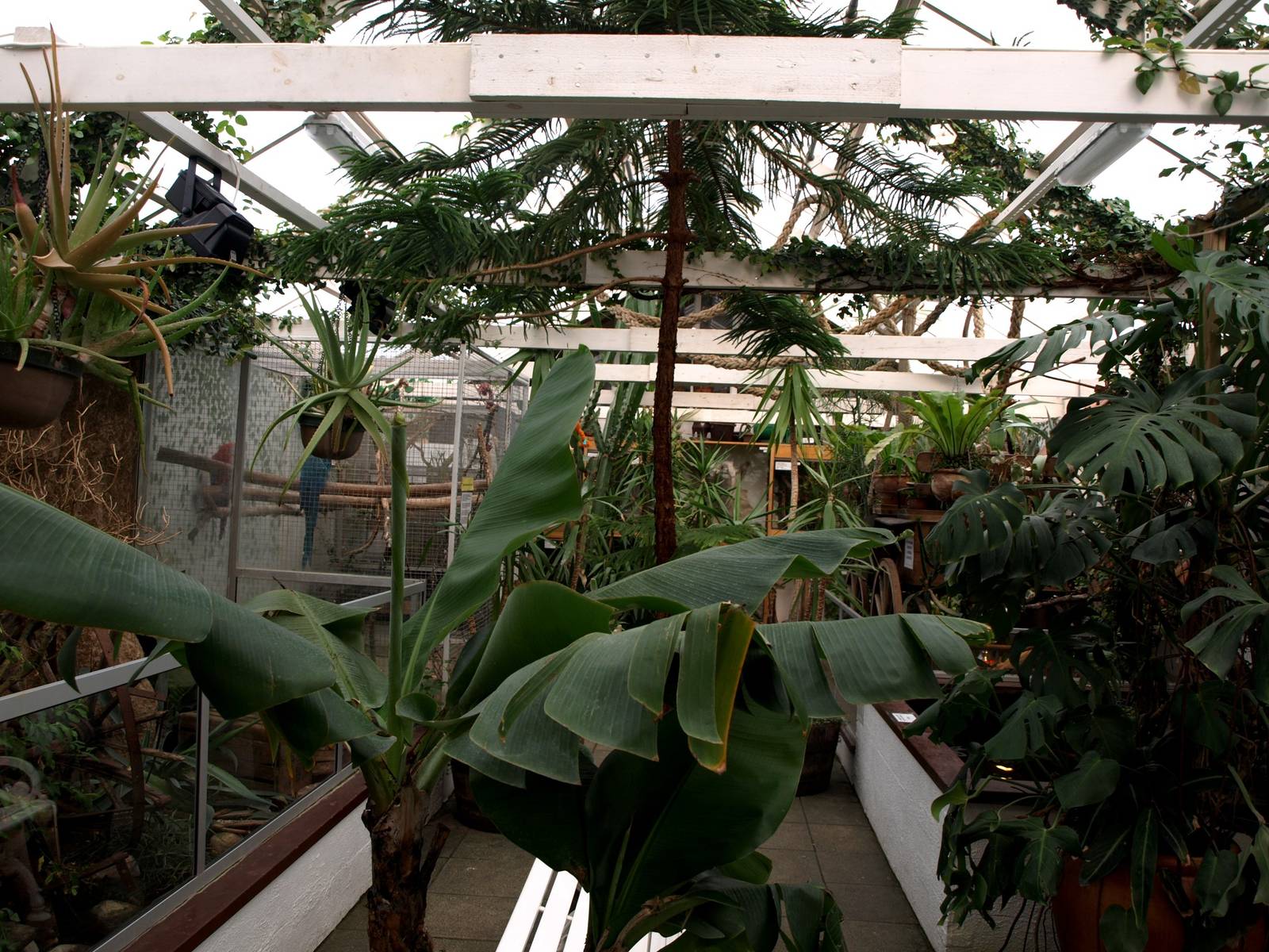 Malmoe Reptile Center - Greenhouse