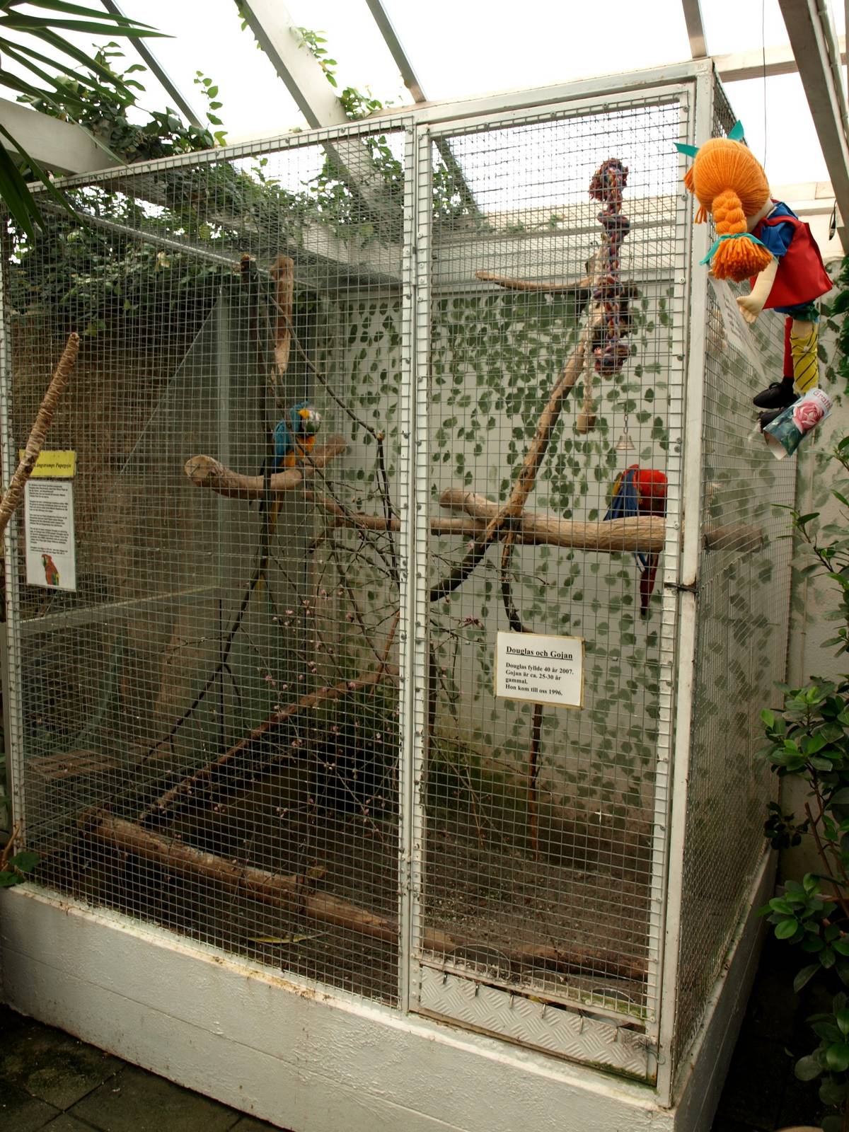 Malmoe Reptile Center - Macaw aviary